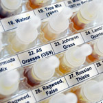 Allergin Varieties